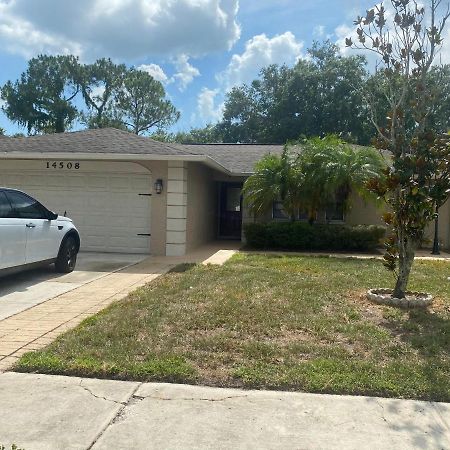 Willa Cheerful 3 Bed House In A Cul- De-Sac! Tampa Zewnętrze zdjęcie